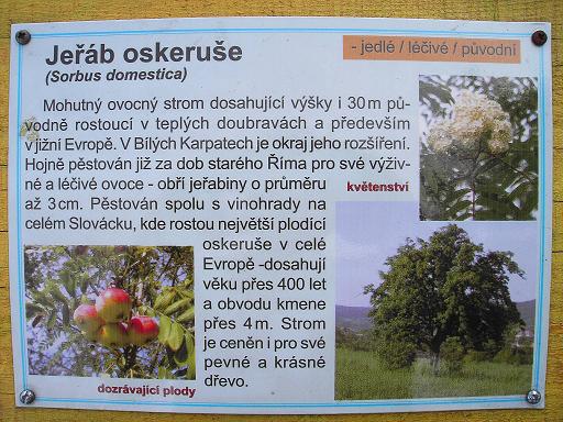 162  Tvar. Lhota - Salaš Travičná.JPG